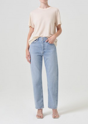 Agolde 90's Mid Rise Straight Denim Dames Snapshot | QMI236145