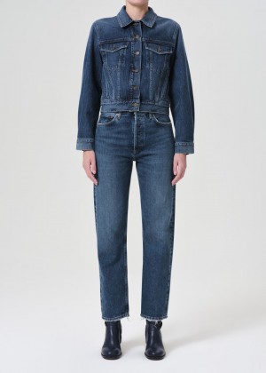 Agolde 90's Pinch Waist High Rise Straight Denim Dames Range | SVL820149