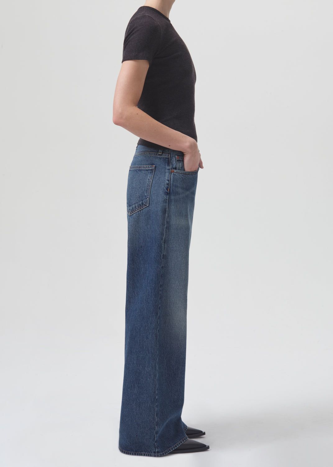 Agolde Clara Low Rise Baggy Flare Denim Dames Noise | ISO046532